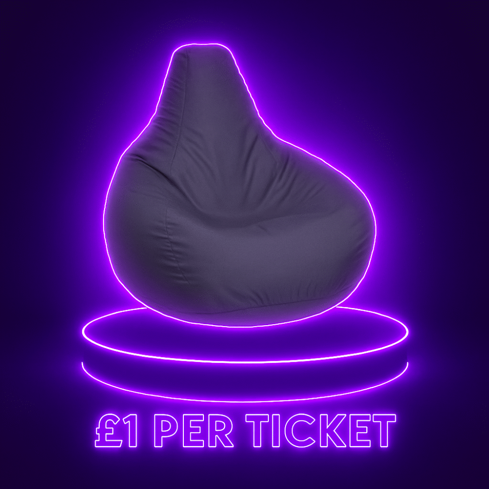 The Bean Bag Chair